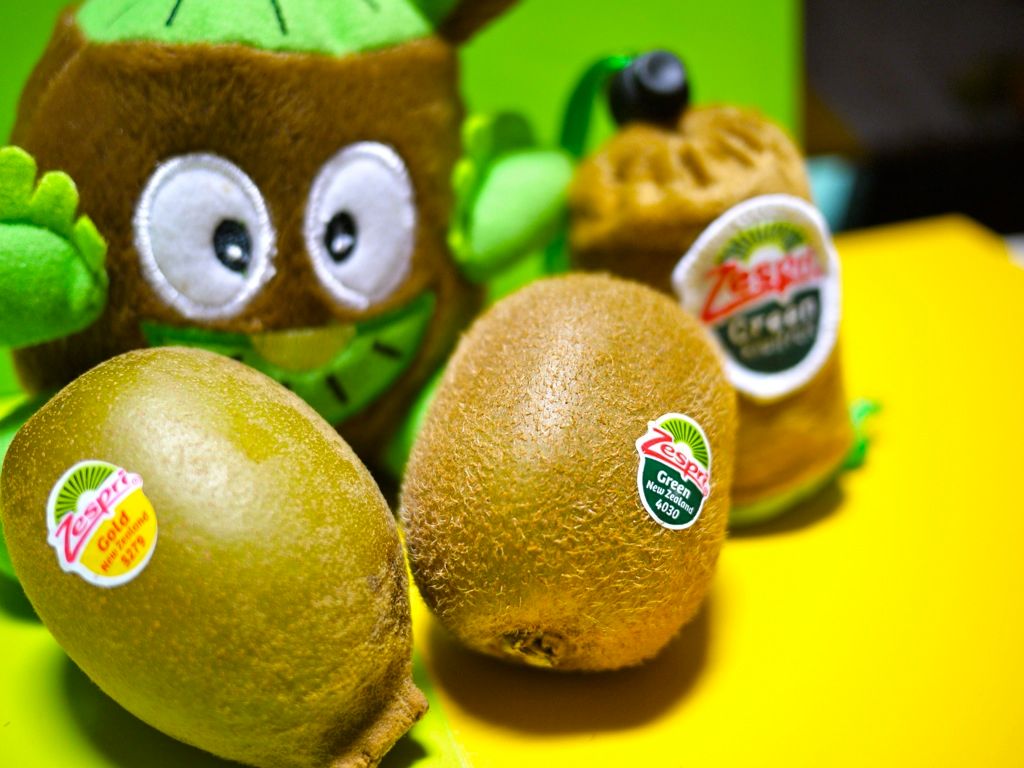 zespri kiwi plush